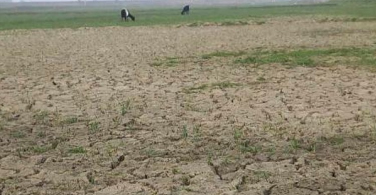 নানা ঝুঁকিতে সাতক্ষীরা উপকূলের বিস্তীর্ণ এলাকার মাটি ও মানুষ