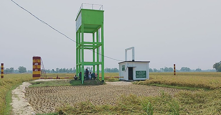 দিনাজপুরে স্বল্পমূল্যে সেচ সুবিধায় ধানের বাম্পার ফলন