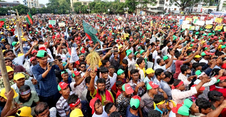 ডিসেম্বরের মধ্যেই নির্বাচন চায়-বিএনপি