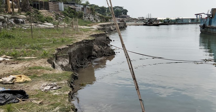 পদ্মা নদীতে পানি বাড়ায় ভাঙ্গন আতঙ্কে শত শত পরিবার