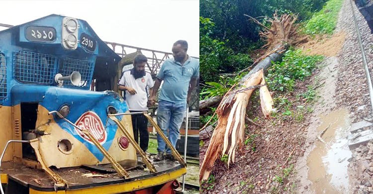 গাছের সঙ্গে ট্রেনের ধাক্কা, দুর্ঘটনা থেকে রক্ষা পেল কালনী এক্সপ্রেস