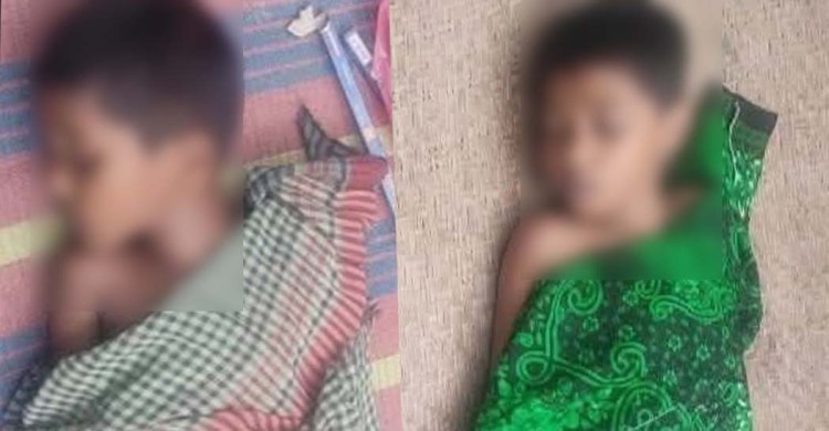 চুনারুঘাটে পানিতে পড়ে ভাই-বোনের মৃত্যু
