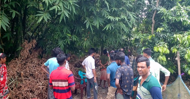 চাটমোহরে পাঁচ মাসের কন্যা শিশুকে নদীতে ফেলে হত্যা