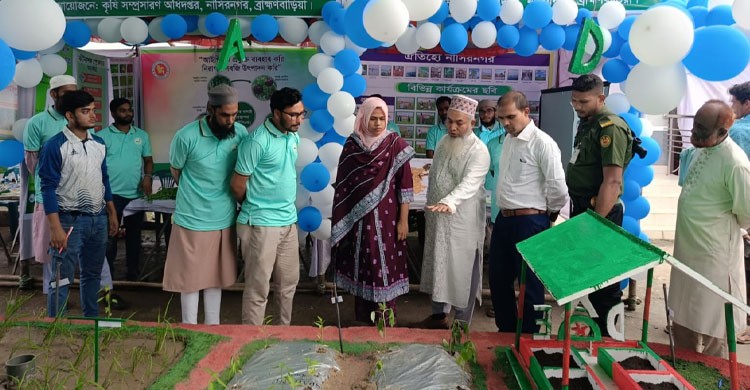 নাসিরনগরে কৃষি প্রযুক্তি মেলা ২০২৫ উদ্বোধন