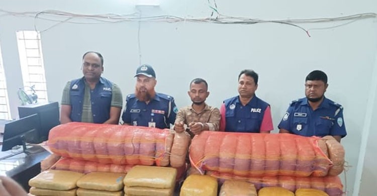 কসবায় ১১৬ কেজি গাঁজাসহ একজন গ্রেফতার