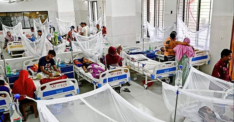 ডেঙ্গুতে আরও ২ জনের মৃত্যু, হাসপাতালে ভর্তি ৩২৬