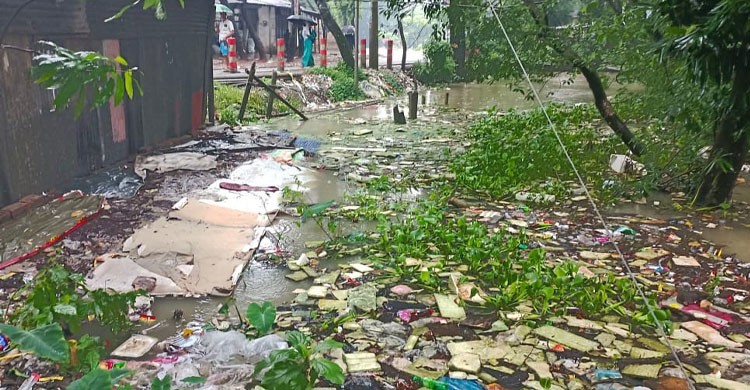 জারিরদোনা ও তুলাতুলি খাল খনন না হওয়ায় কমলনগরে জলাবদ্ধতা