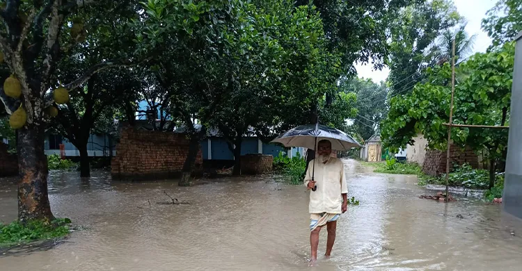 জীবননগরে প্রবল বৃষ্টিপাতে তলিয়ে গেছে রাস্তাঘাট ও জমির ফসল, চরম জন দুর্ভোগ