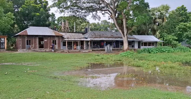 কাশিয়ানীতে ৭ শিক্ষকের ২০ শিক্ষার্থী, পাস করেনি কেউ