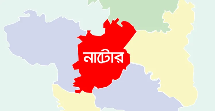 নাটোরে মাইক্রোবাস-ট্রাক সংঘর্ষে ৫ জন নিহত
