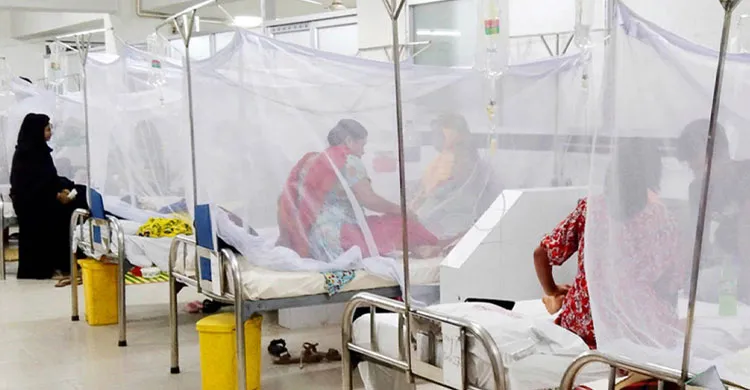 ডেঙ্গুতে একদিনে ৩ জনের মৃত্যু, হাসপাতালে ভর্তি ৪২৮