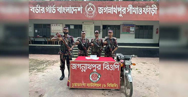 দামুড়হুদায় বিজিবির অভিযান, বিপুল পরিমাণ রুপা জব্দ