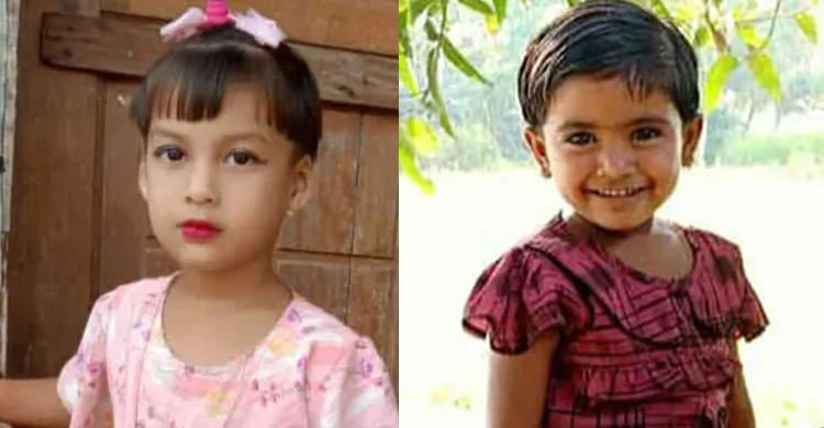 নাসিরনগরে পানিতে ডুবে ২ শিশুর মৃত্যু