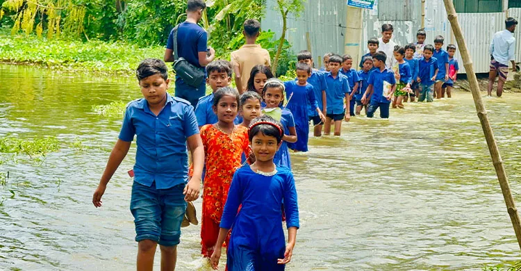 সিংড়ায় পানিতে তলিয়ে গেছে রাস্তা, চরম দুর্ভোগে শিক্ষার্থীরা