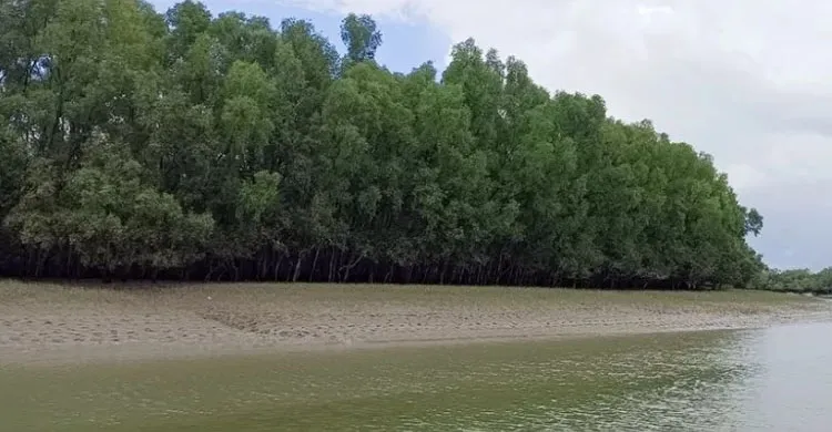 মুক্তিপণের দাবিতে সুন্দরবনে ৭ জেলে অপহরণ