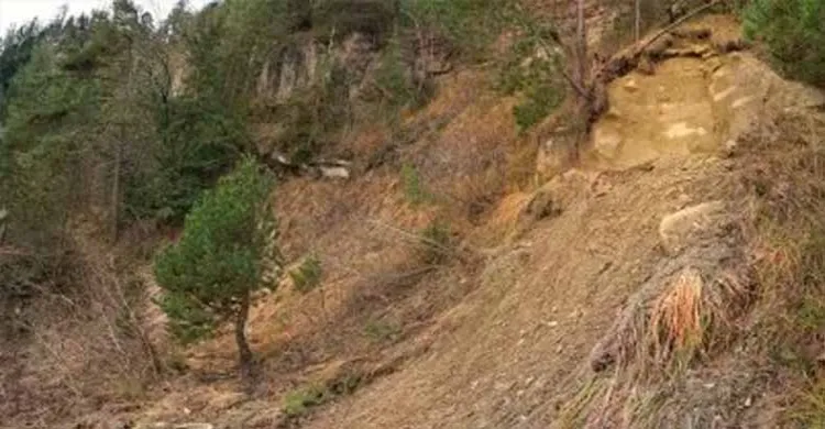 ছবিঃ সংগৃহীত