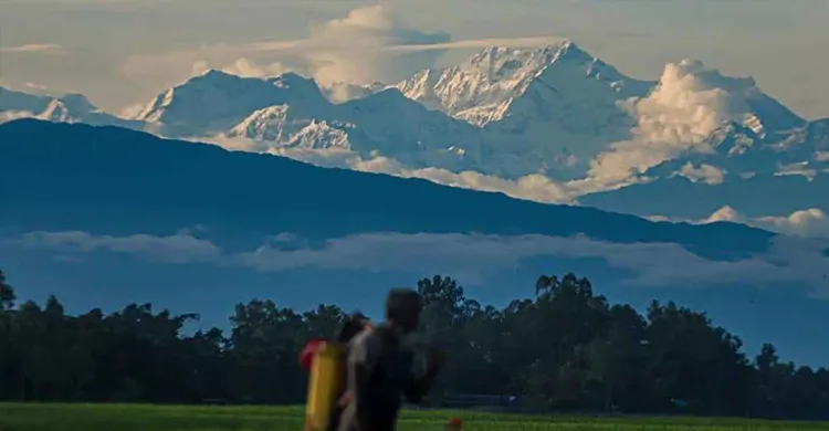 ছবিঃ সংগৃহীত