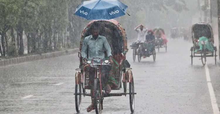 ছবিঃ সংগৃহীত