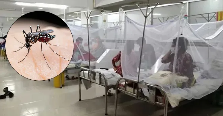 ডেঙ্গুতে আরও দুইজনের মৃত্যু, একদিনে আক্রান্ত ৫৭৩