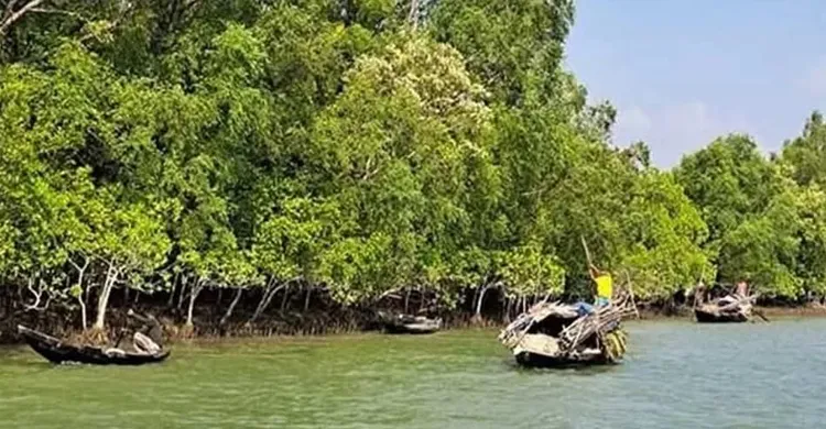 ছবিঃ সংগৃহীত