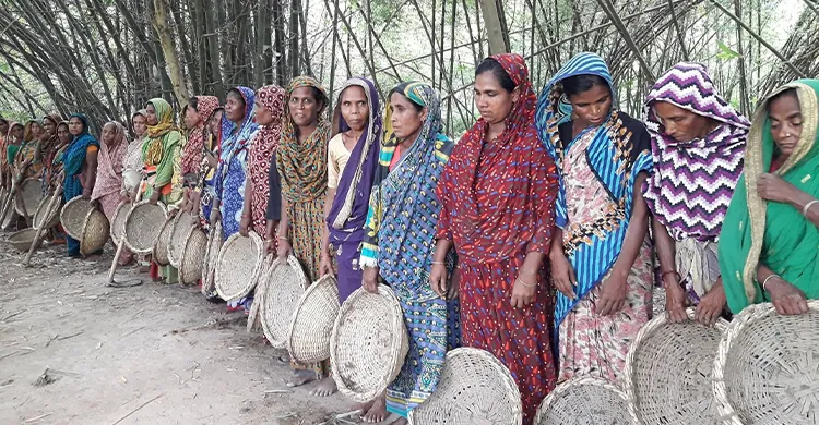 মেহেরপুরে কর্মক্ষেত্রে বাড়ছে নারীর অংশগ্রহণ