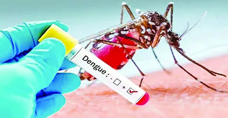 ডেঙ্গুতে আরও পাঁচজনের মৃত্যু, হাসপাতালে ভর্তি ৬৬৮