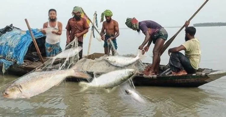 আজ মধ্যরাত থেকে ২২ দিন মেঘনায় মাছ ধরা নিষিদ্ধ