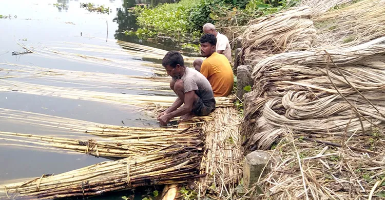 ছবিঃ সংগৃহীত