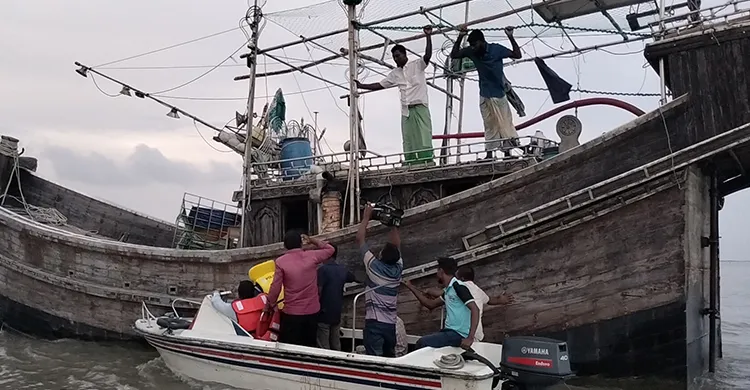 ভোলায় ইলিশ নিষেধাজ্ঞার ১০ দিনে ২২ জেলের কারাদন্ড
