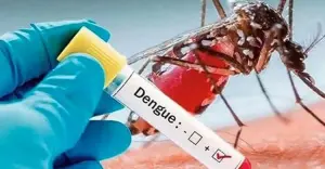 ডেঙ্গুতে ৬ জনের মৃত্যু, হাসপাতালে ভর্তি ৯৫৩ জন