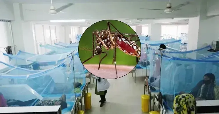 ছবিঃ সংগৃহীত