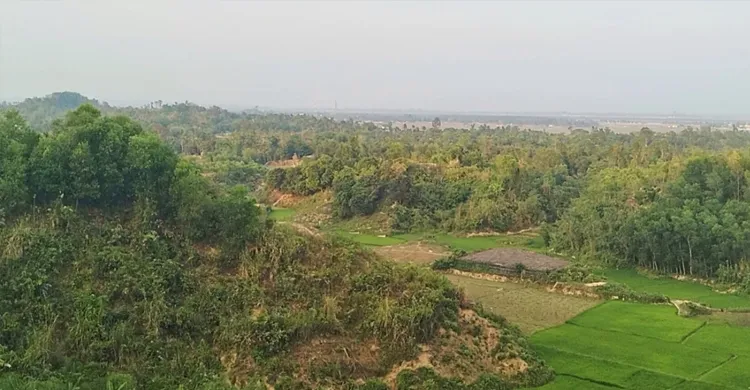 ছবিঃ সংগৃহীত