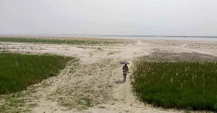 ছবিঃ সংগৃহীত