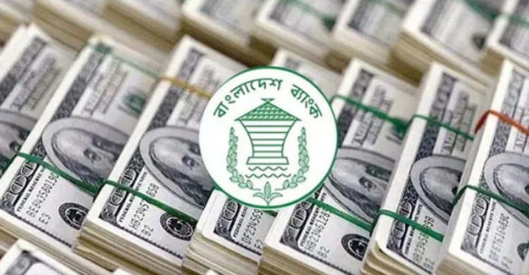 ছবিঃ সংগৃহীত
