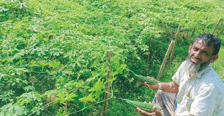 ছবিঃ সংগৃহীত