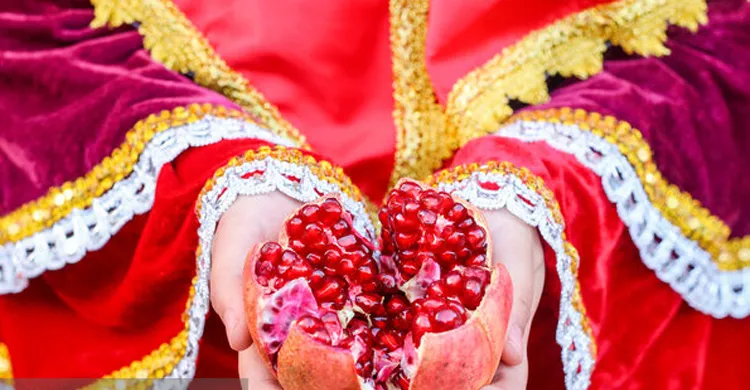 ডালিম যেভাবে গড়ে তোলে সংস্কৃতি, খাদ্য, হস্তশিল্প ও ঐতিহ্য