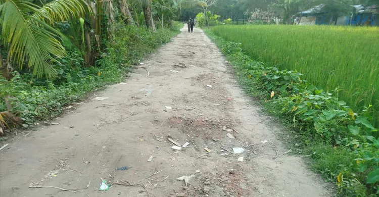 কমলনগরে ৪০ বছর ধরে পাকা রাস্তার অপেক্ষায় এক গ্রামের ২০ হাজার মানুষ