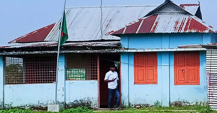 ছবিঃ সংগৃহীত