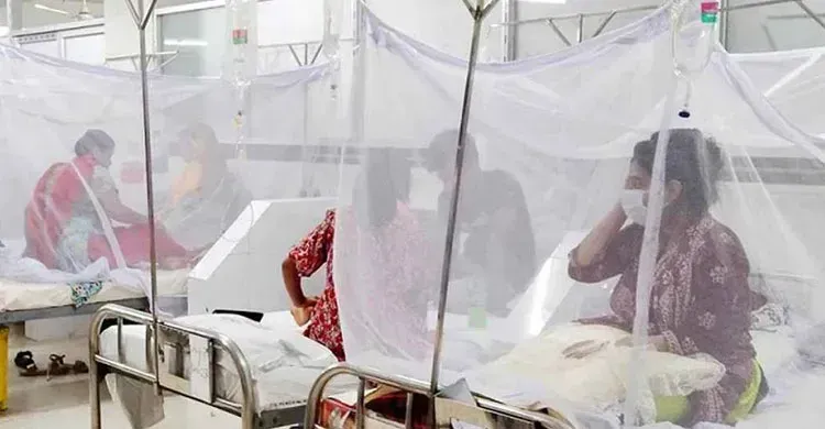 ছবিঃ সংগৃহীত