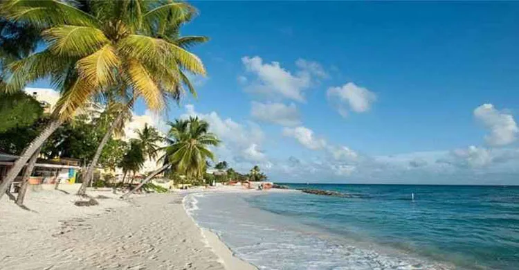 ছবিঃ সংগৃহীত