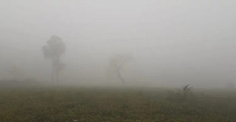 ছবিঃ সংগৃহীত