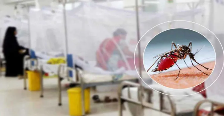 ছবিঃ সংগৃহীত