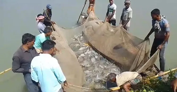 ছবিঃ সংগৃহীত