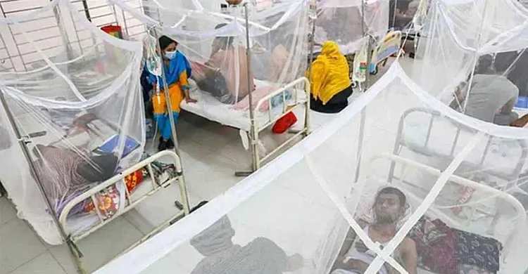 ডেঙ্গুতে ২৪ ঘণ্টায় আরও ৫ জনের মৃত্যু, মোট মৃত ৩০৭