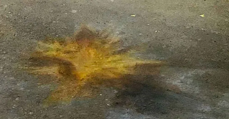 কিল-ঘুষি খেয়েও সন্দেহভাজনকে ধরলেন যুবদল নেতা