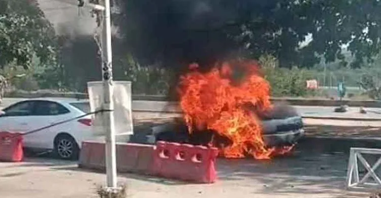 ছবিঃ সংগৃহীত