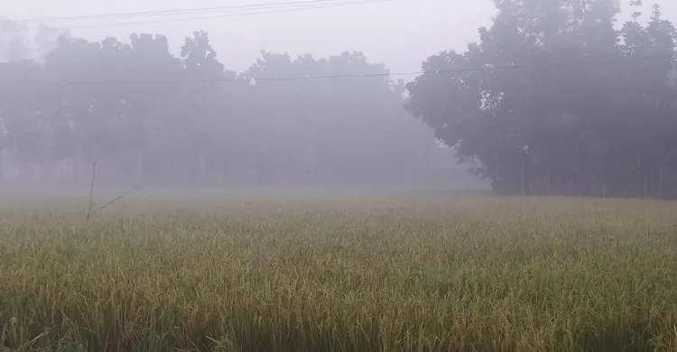 ছবিঃ সংগৃহীত