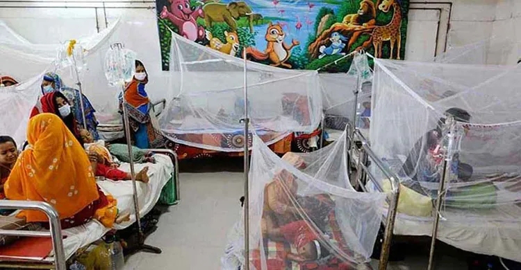 এক সপ্তাহে ডেঙ্গুতে ১৯ জনের মৃত্যু, হাসপাতাল ভর্তি ৬ হাজার ৫৫২ জন