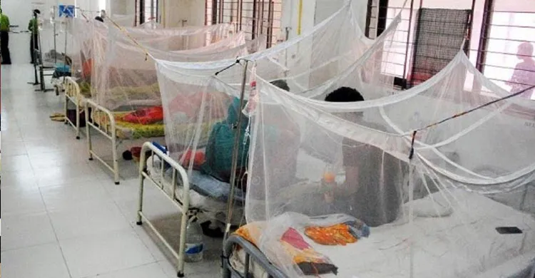 ডেঙ্গুতে আরও ৬ জনের মৃত্যু, হাসপাতালে ভর্তি ৭৮৮