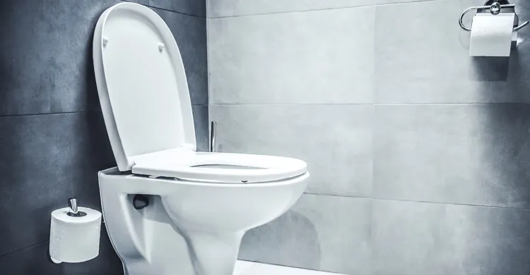 ছবিঃ সংগৃহীত